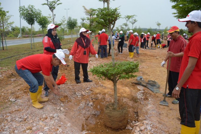 Kira-kira 50 warga kerja PKNS menjadi sukarelawan menanam pokok di sekitar tasik di Taman Sains Selangor 2, Cyberjaya