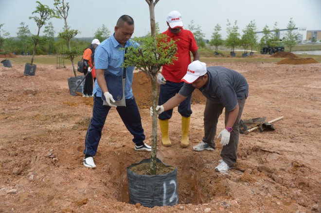 Warga kerja PKNS bergotong - royong menanam pokok di Taman Sains Selangor 2, Cyberjaya