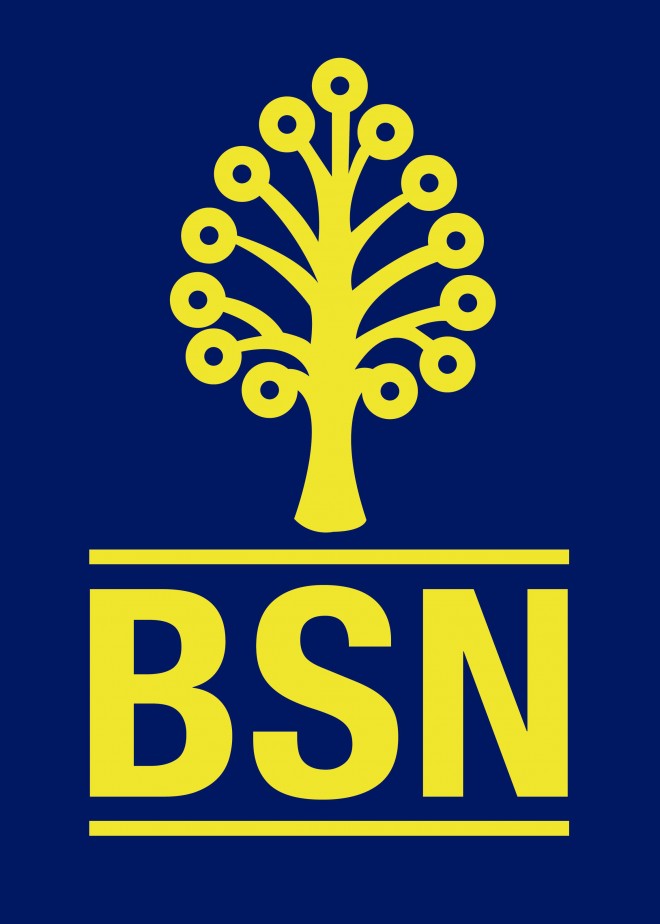 LogoBSN