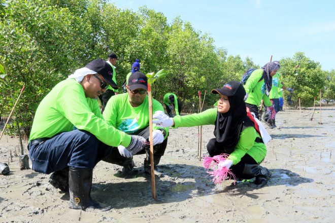 Program tanam pokok PKNS di Pulau Klang (ASRI) (2)