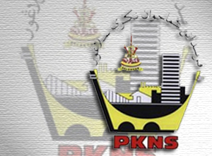 pkns-logo