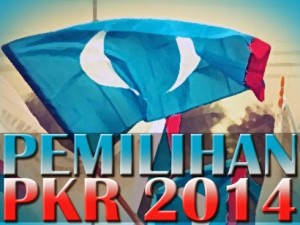 PKR Election: Syed Husin to begin investigation on high profile 