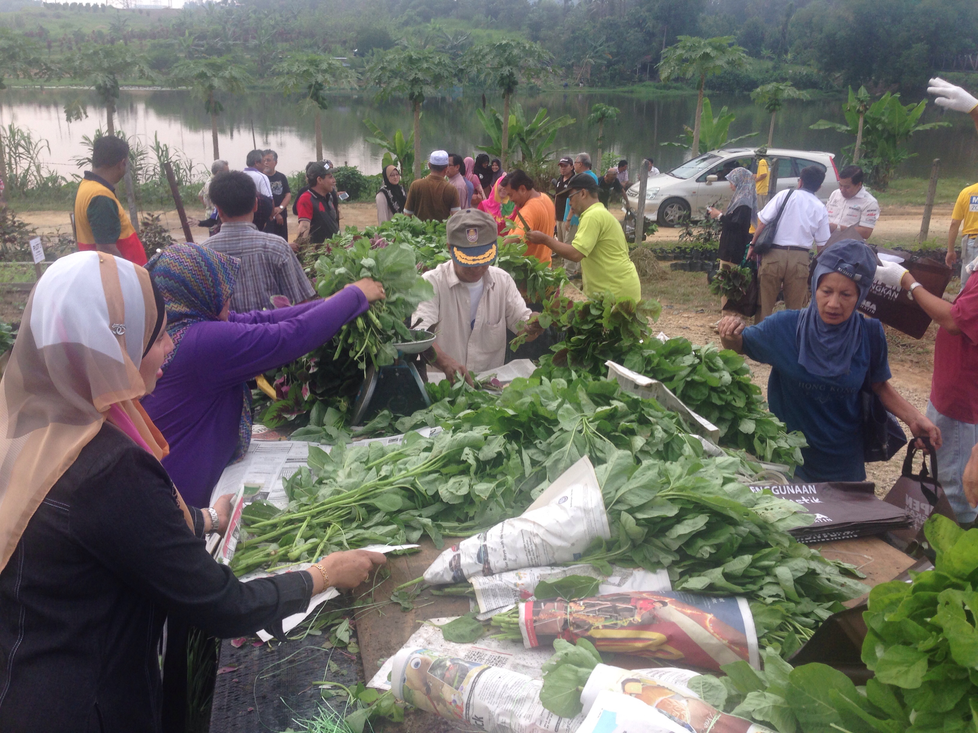 Kebun Komuniti bukti di bandar boleh bertani – Selangorkini