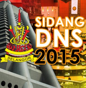 DNS-2015-small
