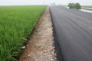 稻农引水入田时要避免泥土流入田内。