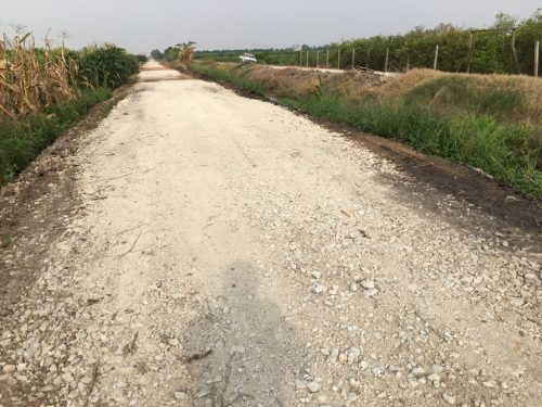 适耕庄稻田区15号地的路洞如今已铺上沙石。