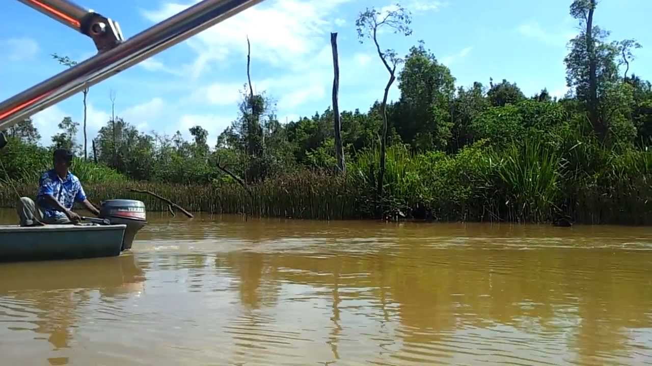 Tasik Chini semakin nazak, mana tanggungjawab kerajaan 