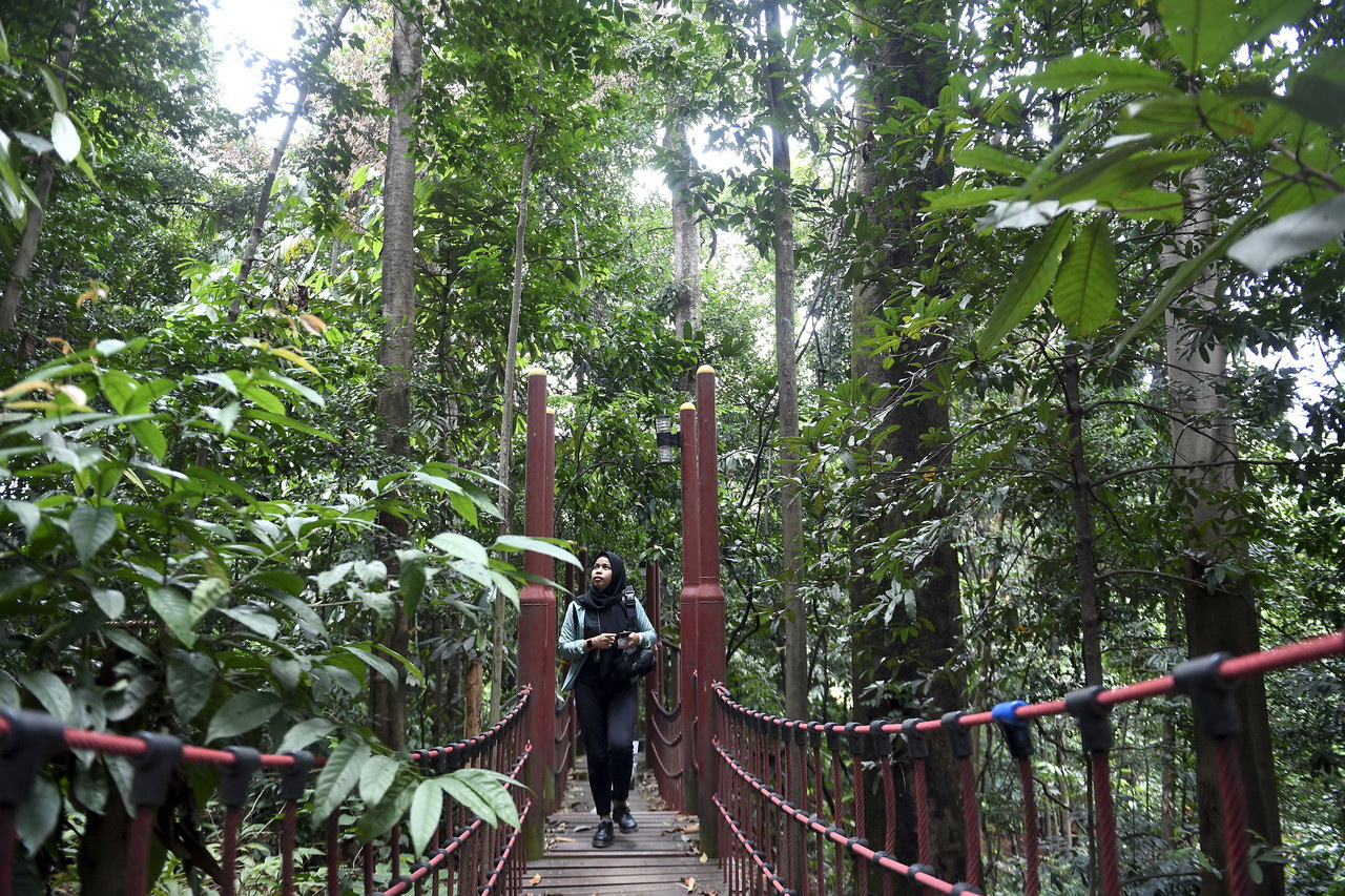 Lindungi Hutan Imbangi Ekosistem Alam Semulajadi Selangorkini