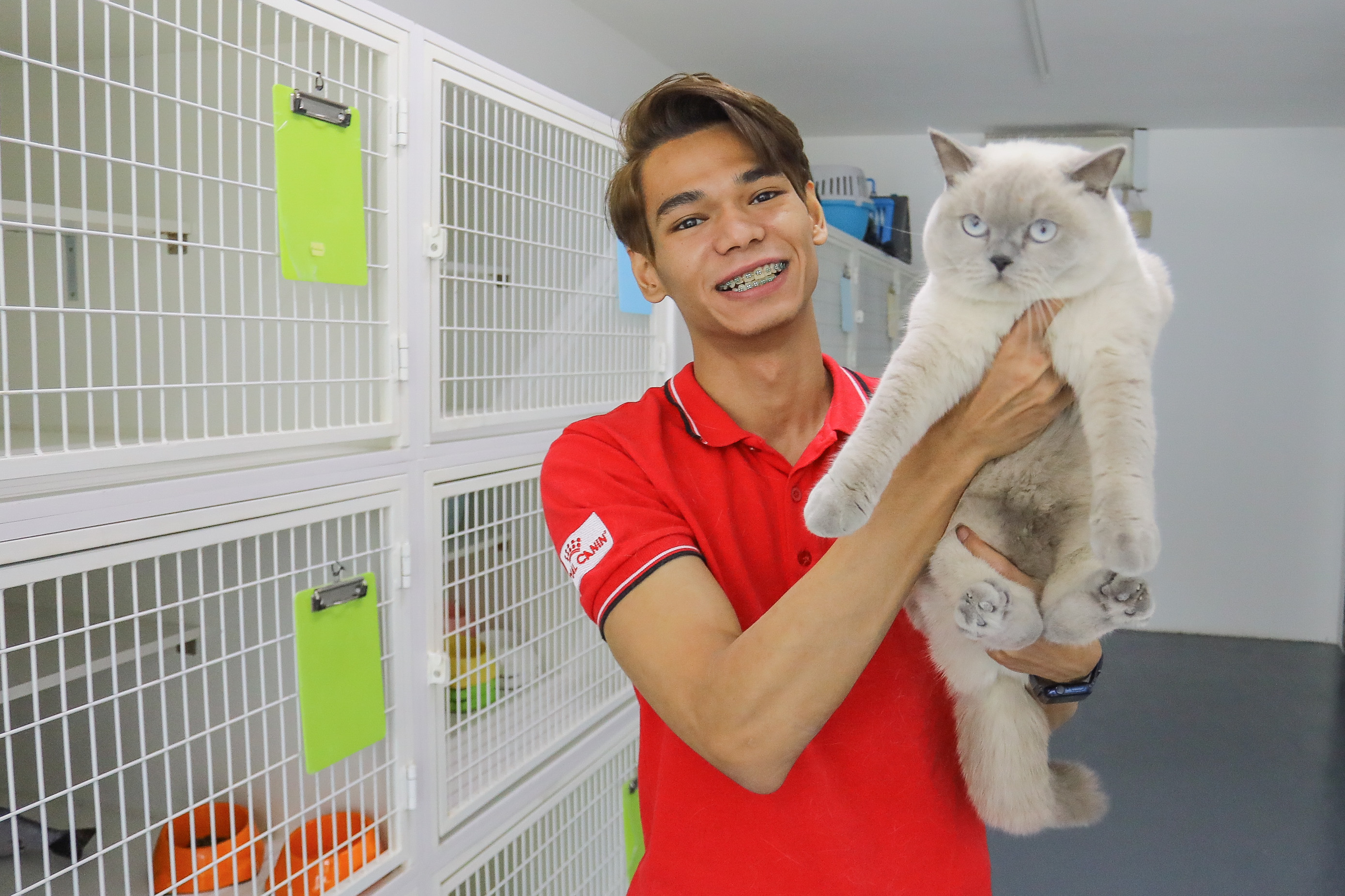 Rezeki sayang kucing, usahawan raih RM70,000 sebulan - Selangorkini