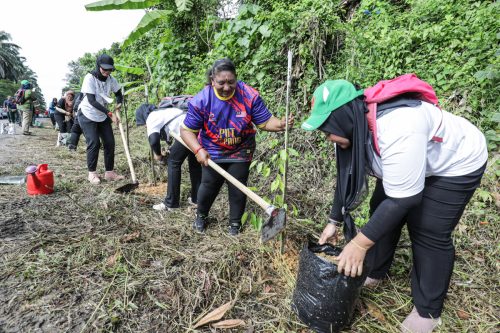 Kakitangan awam menanam anak pokok merbau ketika program penanaman pokok sempena Hari Hutan Antarabangsa Peringkat Negeri Selangor di kaki Bukit Broga, Hulu Langat pada 24 September 2022. Foto FIKRI YUSOF/SELANGORKINI