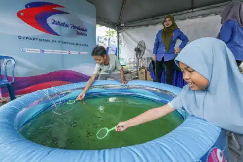 Kanak-kanak gembira menangkap ikan gapi di gerai pameran Jabatan Perikanan Malaysia ketika majlis Perasmian AgroGreen dan Hari Rendah Karbon di Dataran Pantai Batu Laut, Kuala Langat pada 13 Julai 2024. Foto FIKRI YUSOF/SELANGORKINI